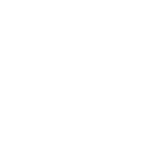 Region Icon