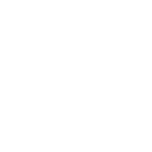 Key Icon